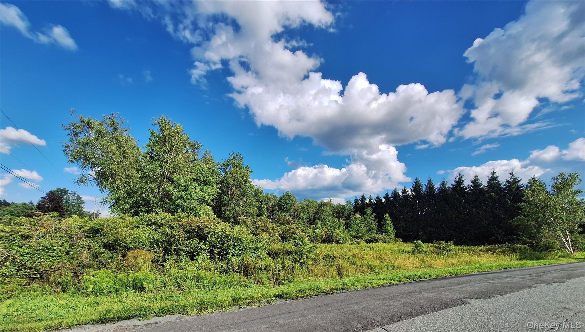 Burnt Ridge Road thumbnail 3