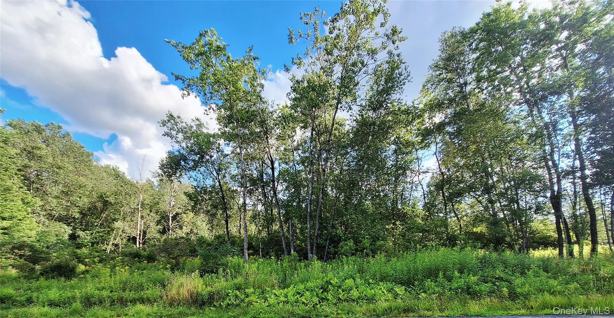 Burnt Ridge Road thumbnail 18