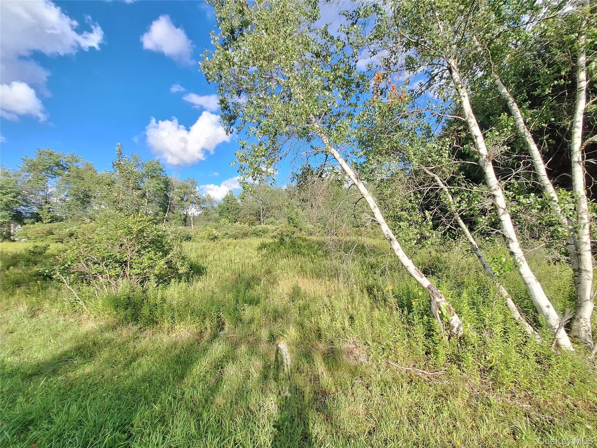 Burnt Ridge Road thumbnail 27