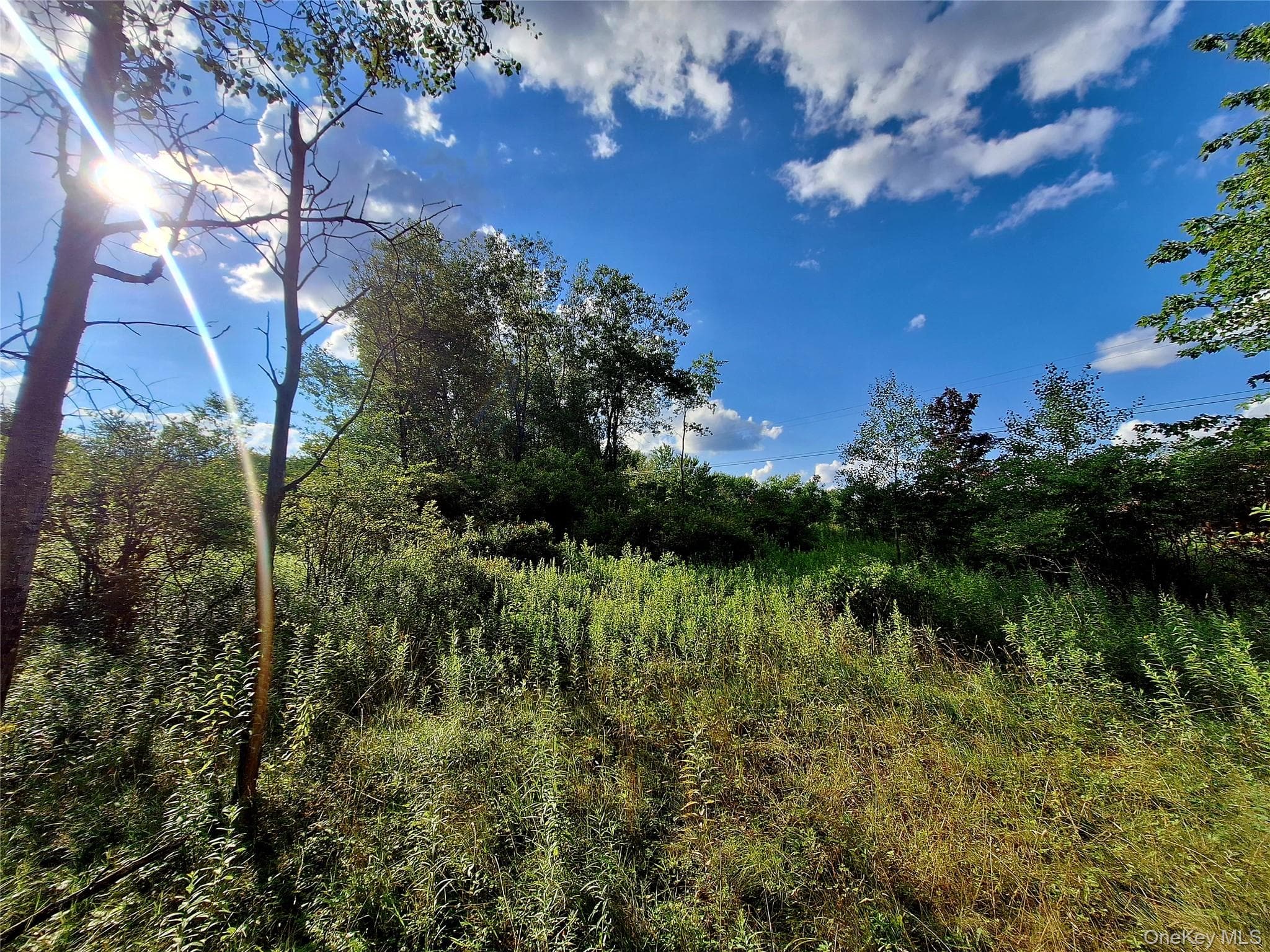 Burnt Ridge Road thumbnail 14
