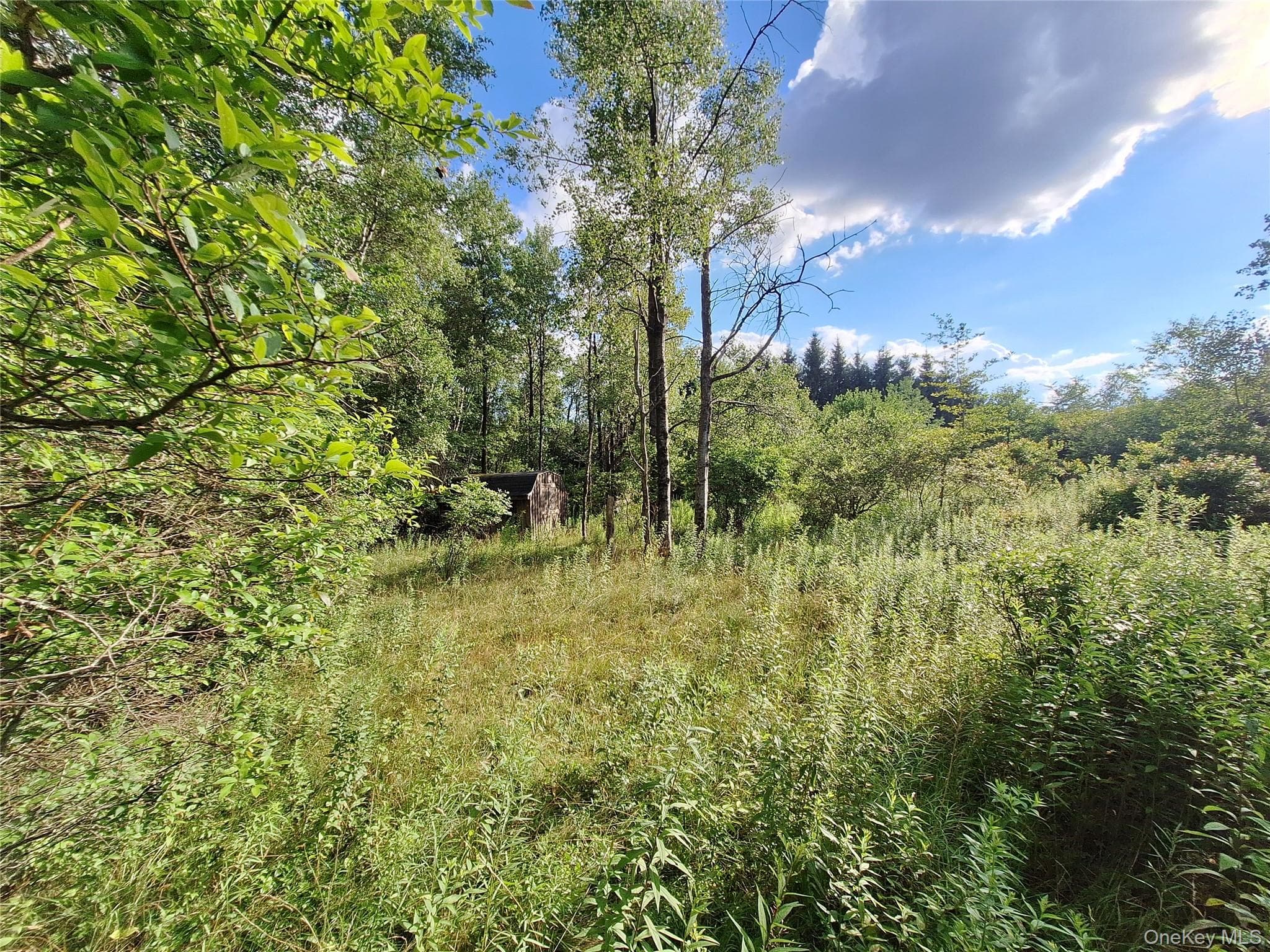 Burnt Ridge Road thumbnail 9
