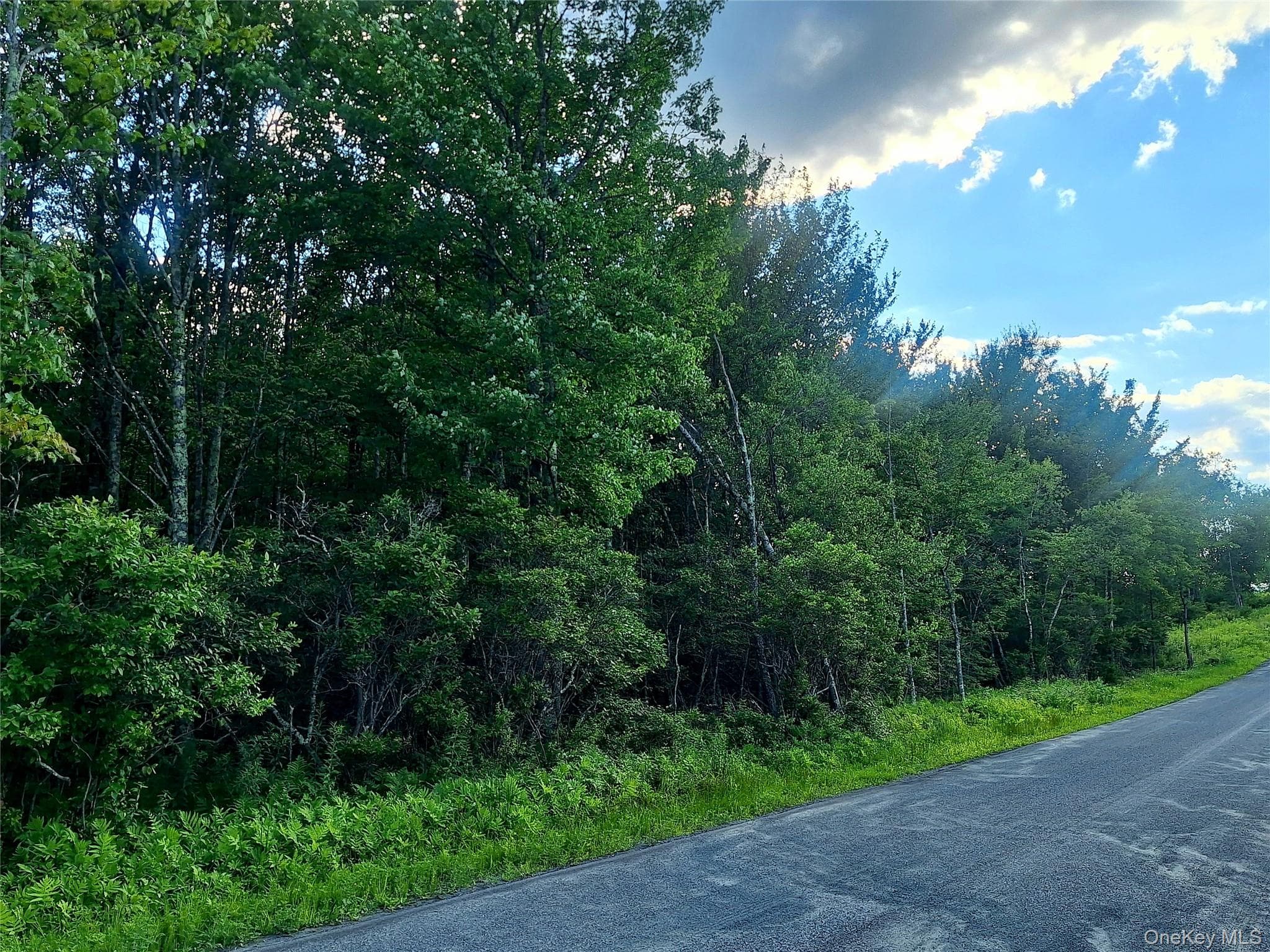 Burnt Ridge Road thumbnail 4