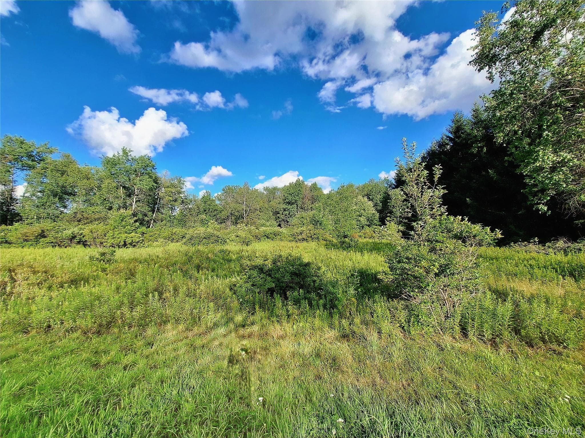 Burnt Ridge Road thumbnail 24