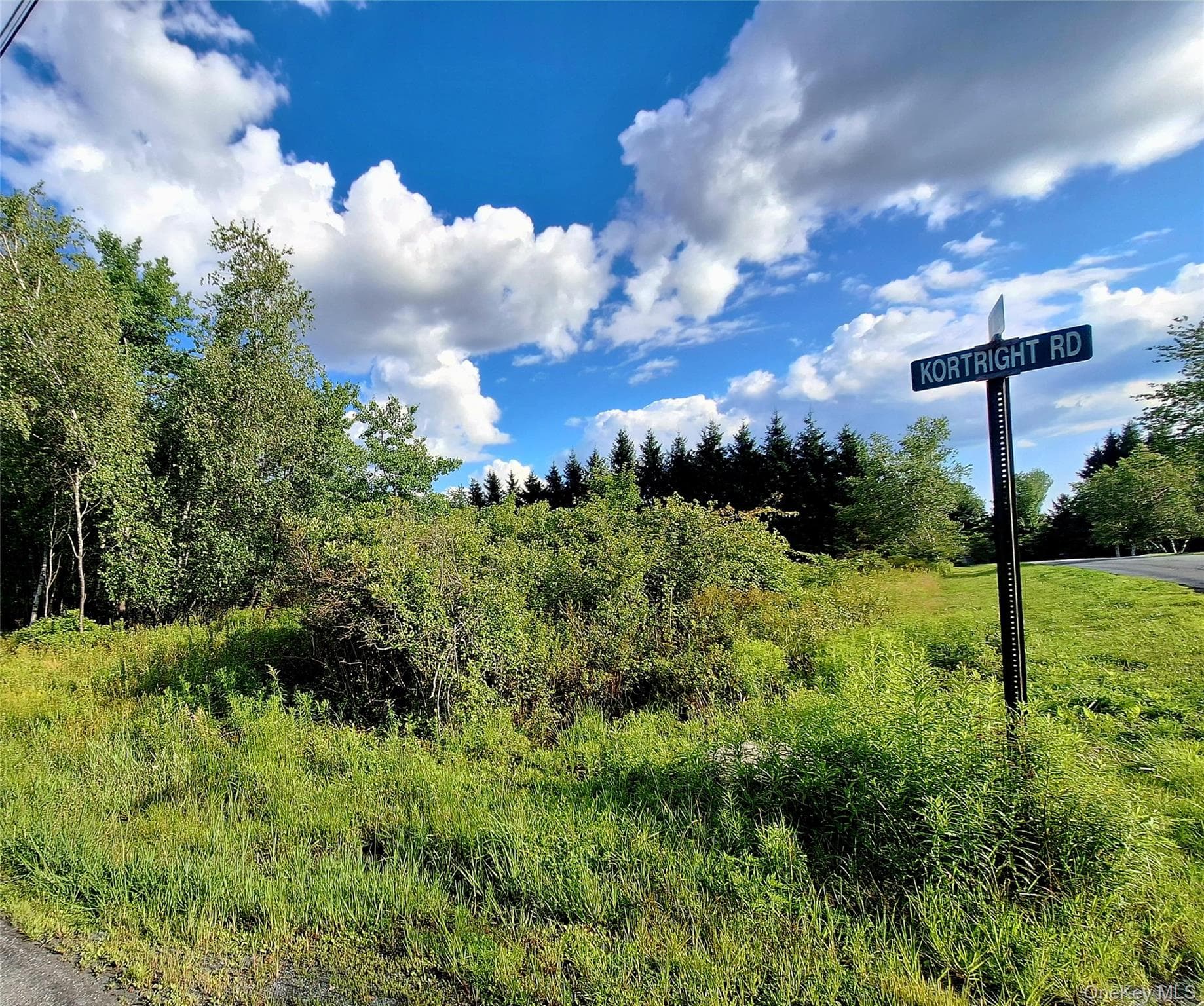Burnt Ridge Road thumbnail 20