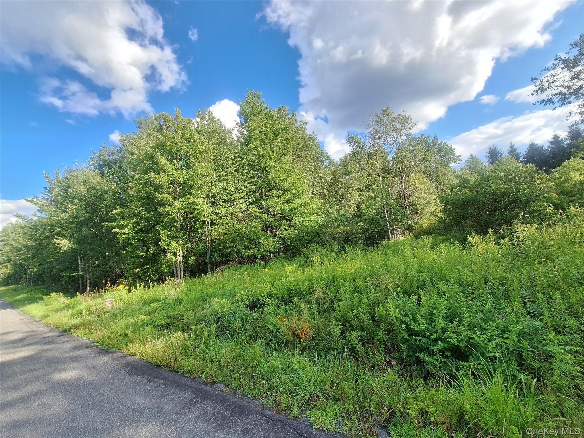 Burnt Ridge Road thumbnail 33