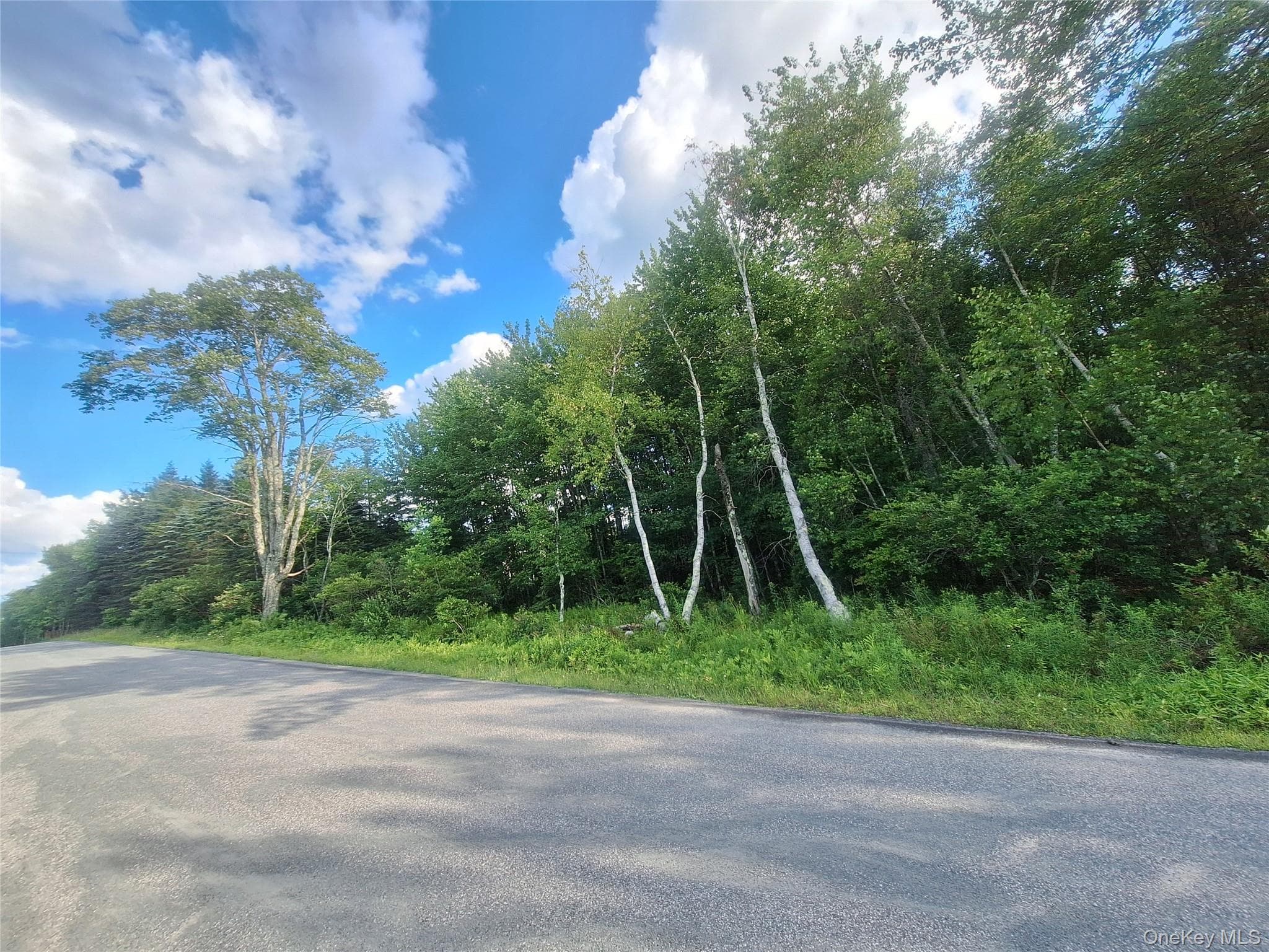 Burnt Ridge Road thumbnail 35