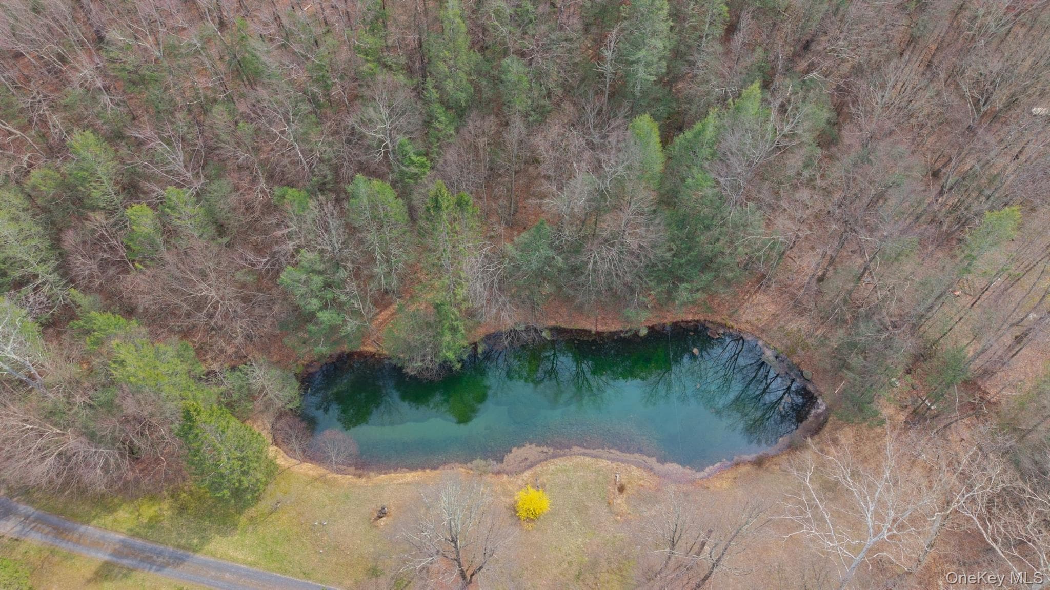 269 Watson Hollow Road thumbnail 46