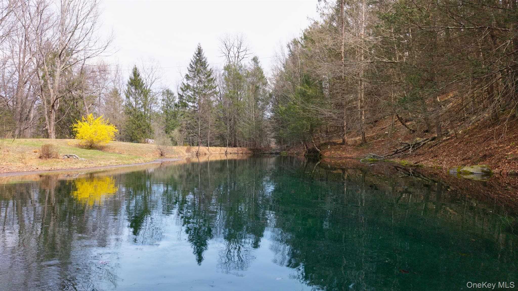 269 Watson Hollow Road thumbnail 45