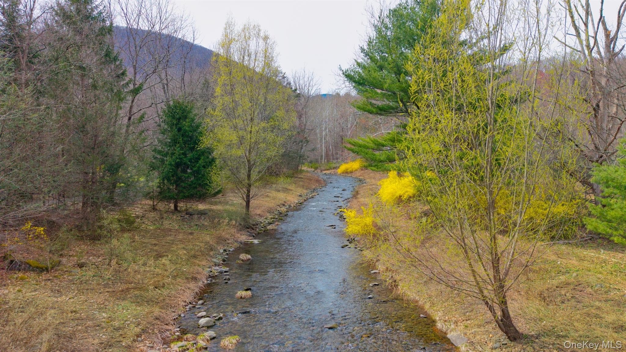 269 Watson Hollow Road thumbnail 47