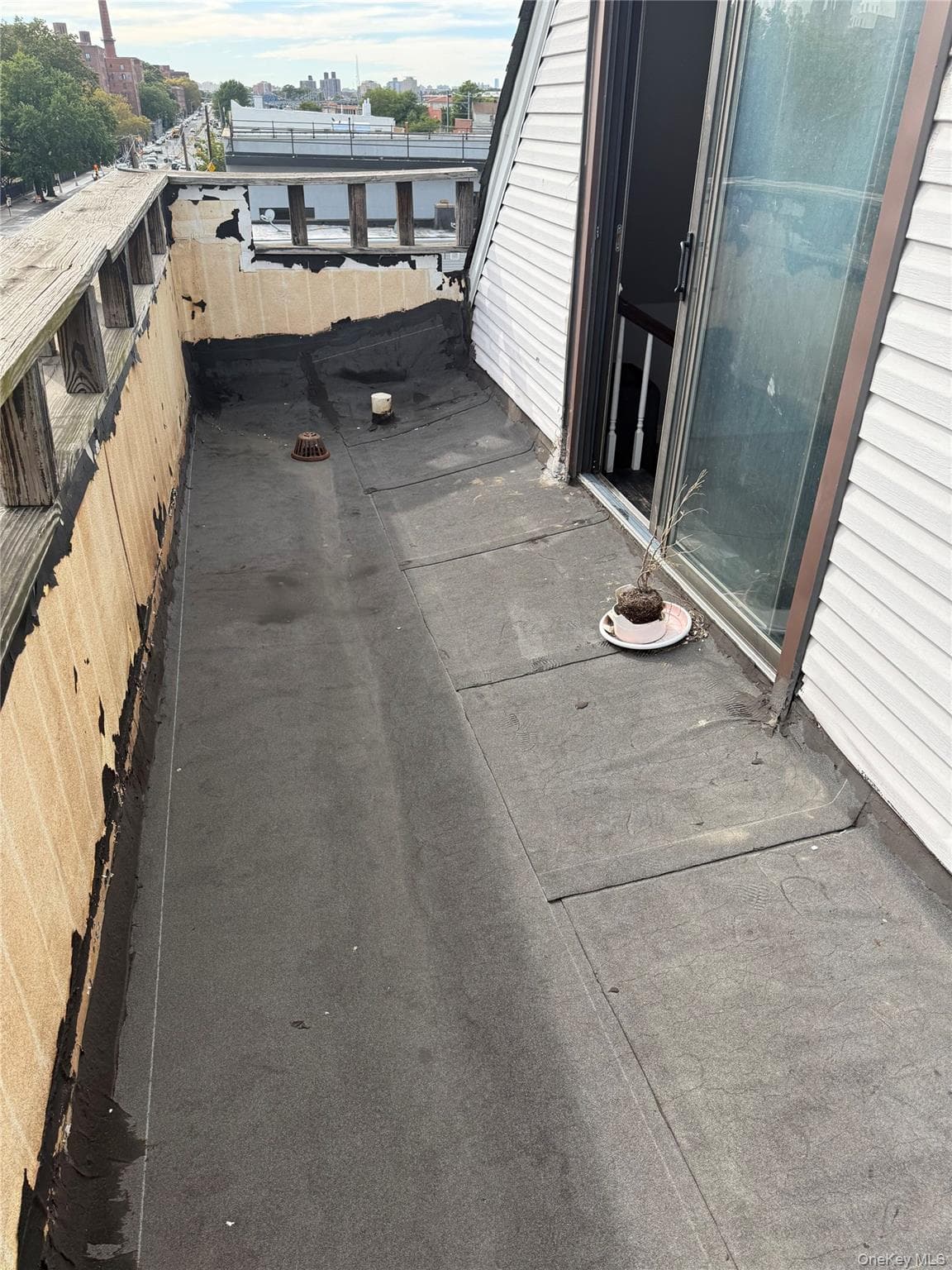 2429 E Tremont Avenue thumbnail 11