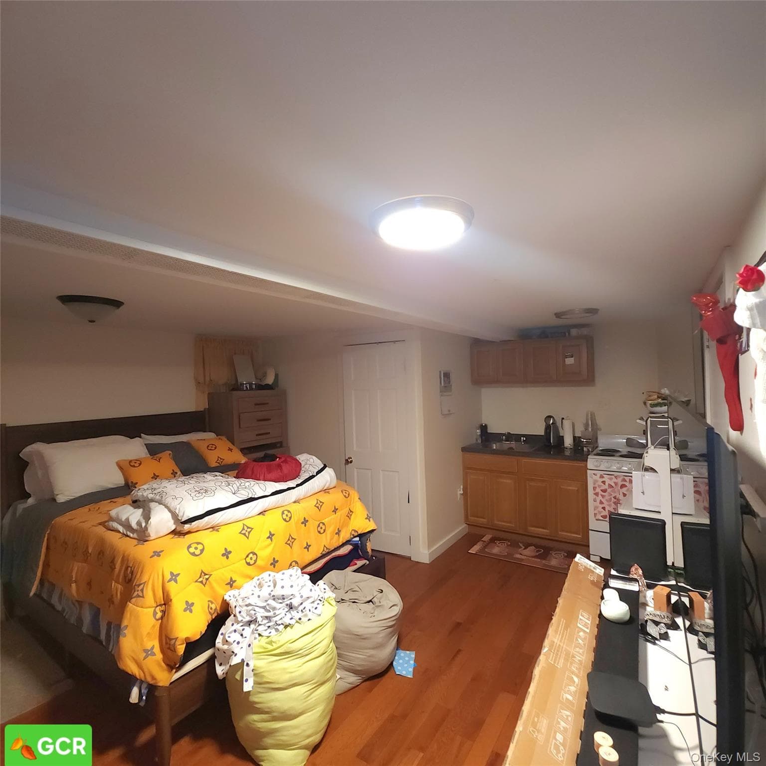 735 E 93rd Street thumbnail 12