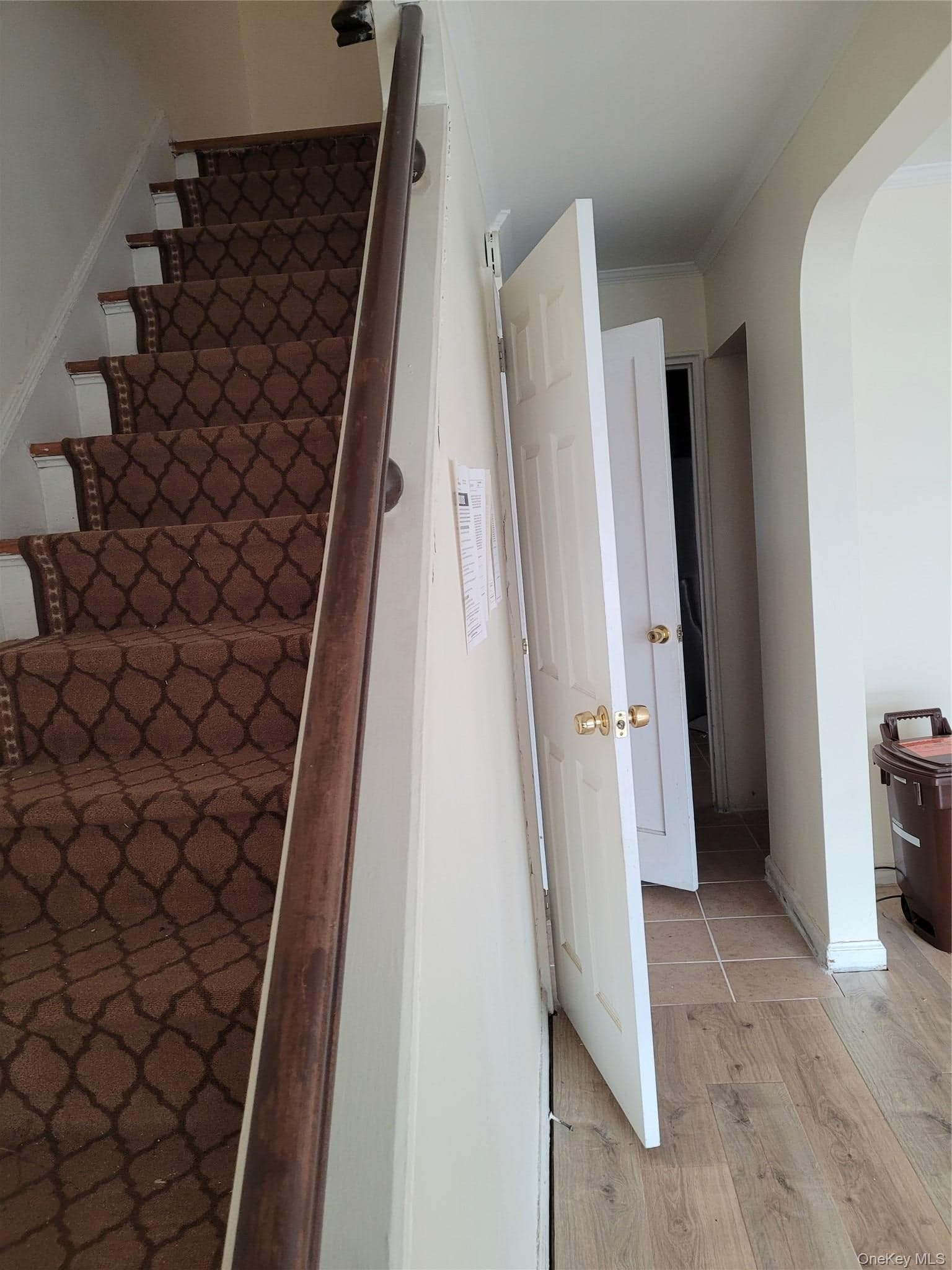 229-11 141st Avenue thumbnail 11