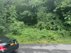 41 Chatham Terrace thumbnail 2