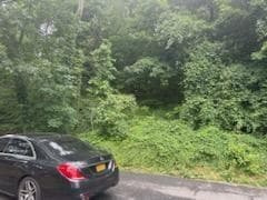 41 Chatham Terrace thumbnail 9