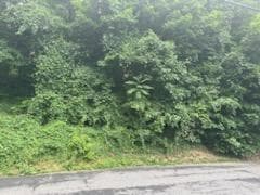41 Chatham Terrace thumbnail 8
