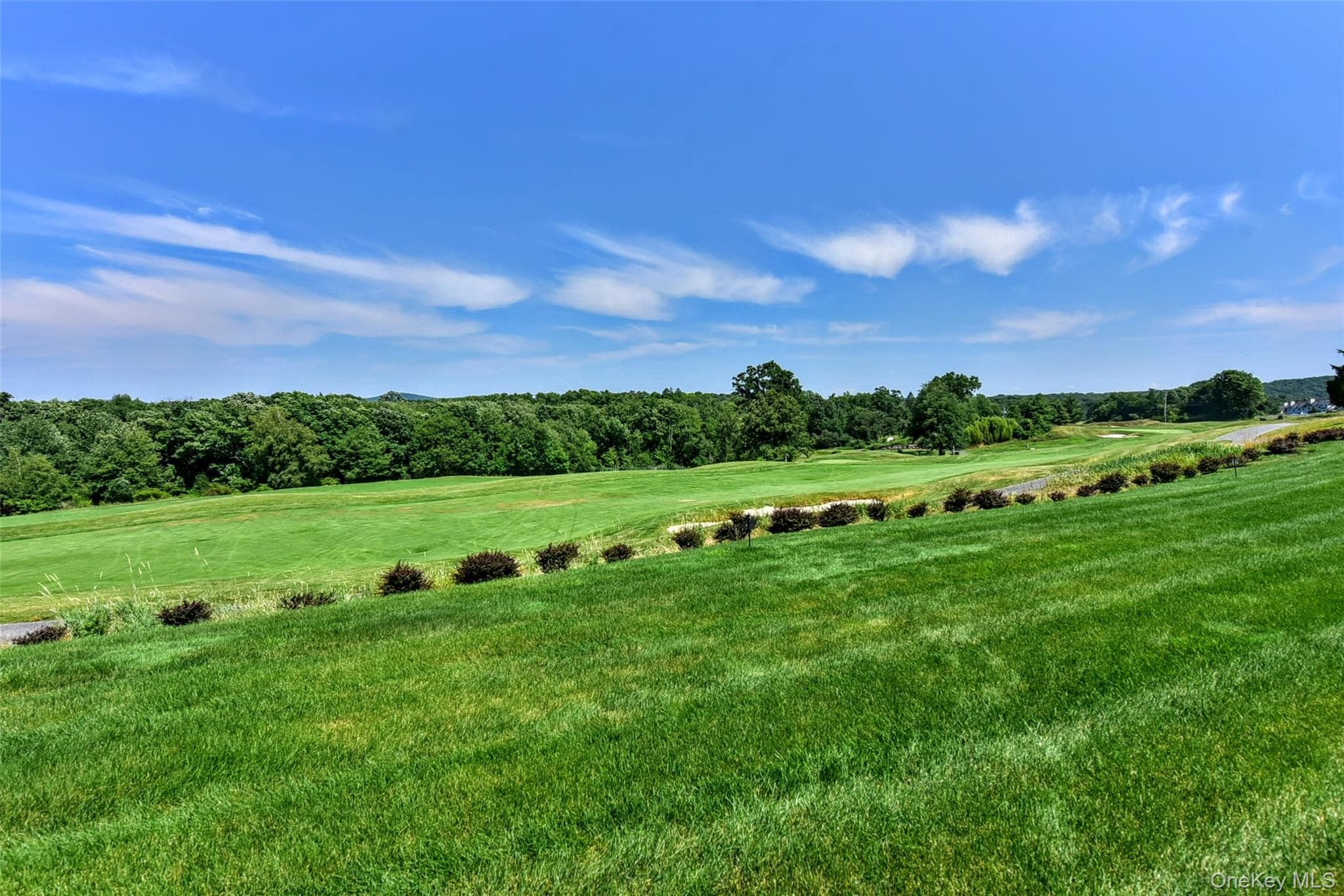 46 Mansion Ridge Boulevard thumbnail 39