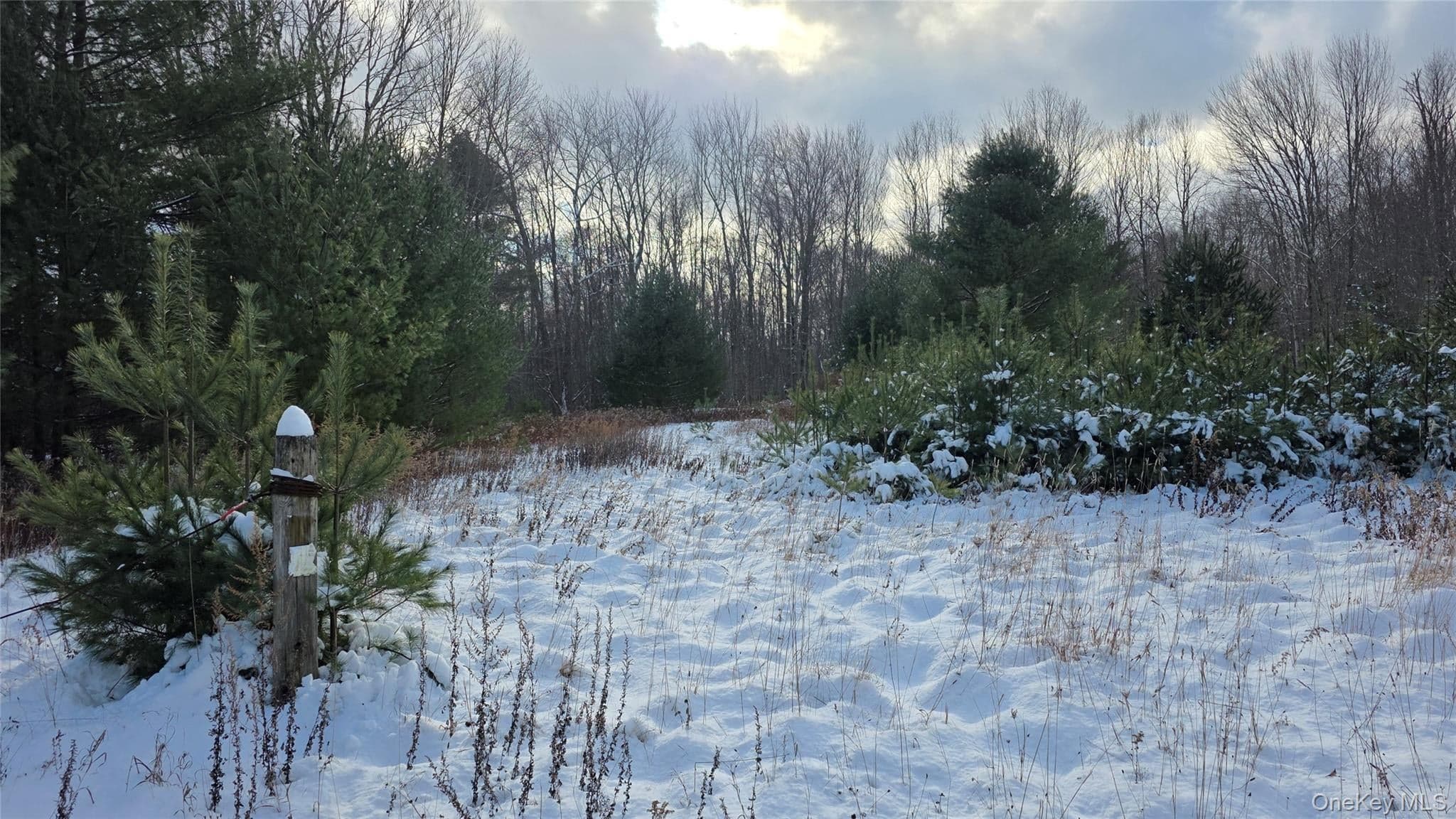 1487 Ulster Heights Road thumbnail 4