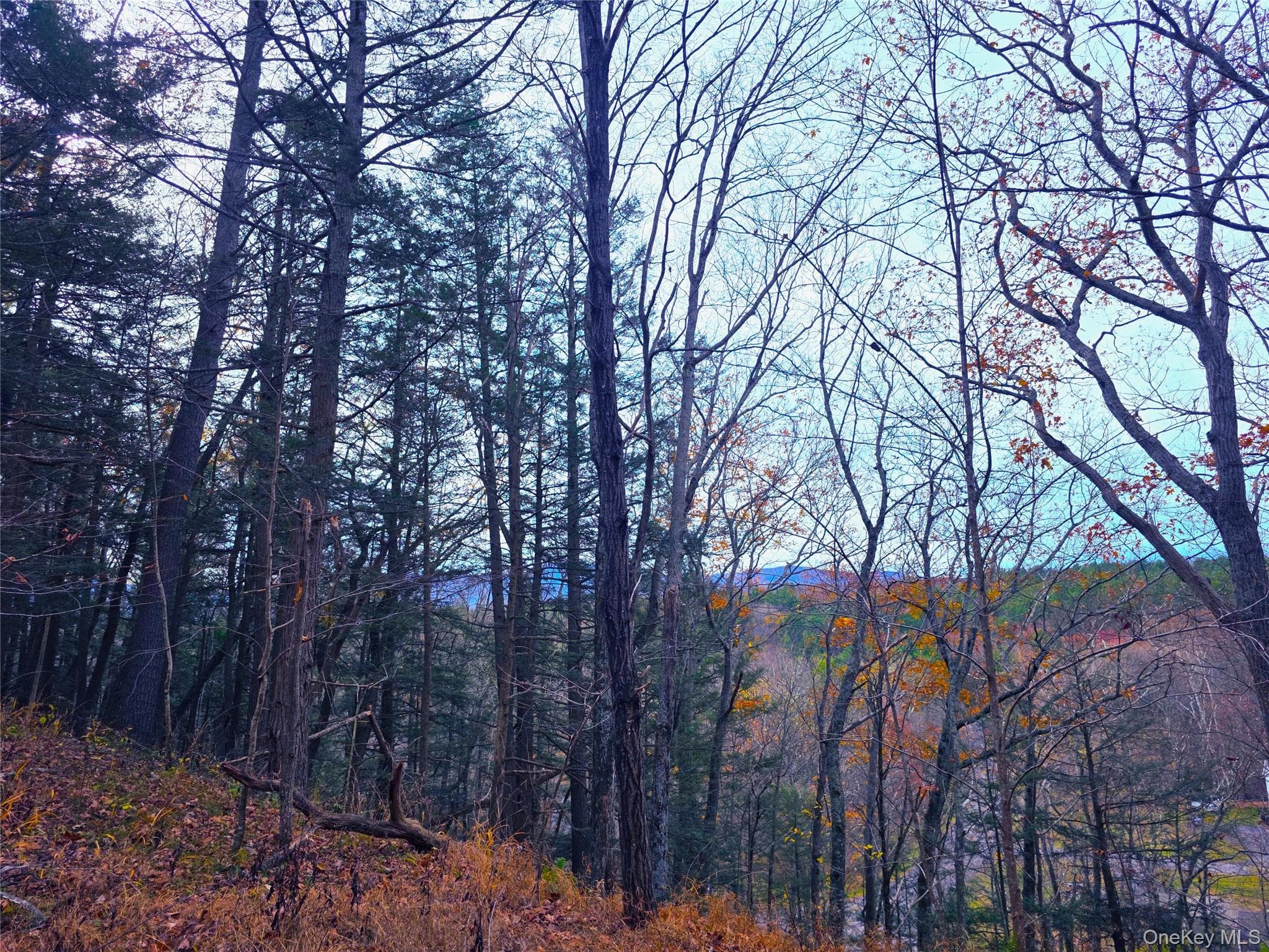 0 County Route 41 thumbnail 2