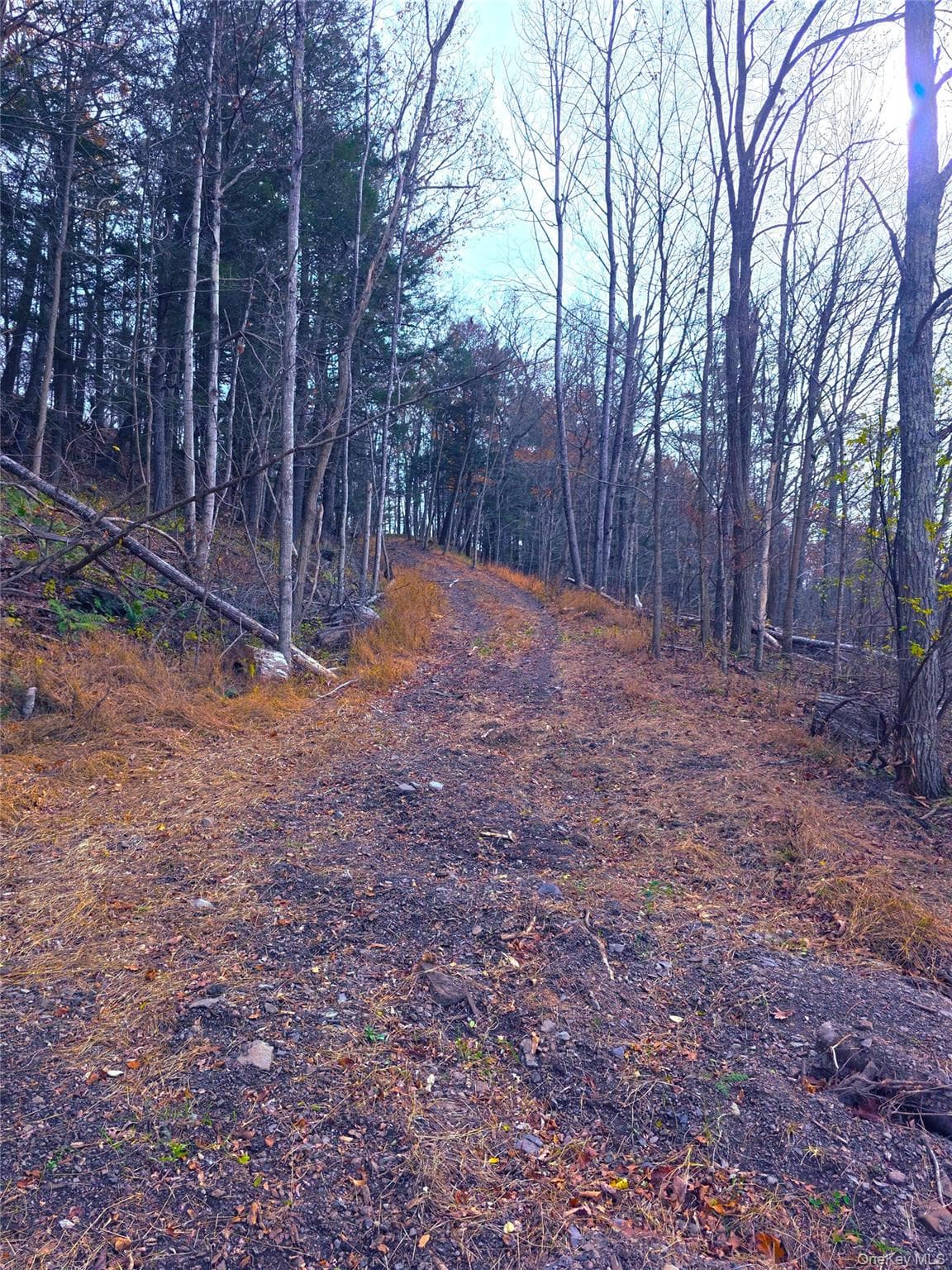 0 County Route 41 thumbnail 5