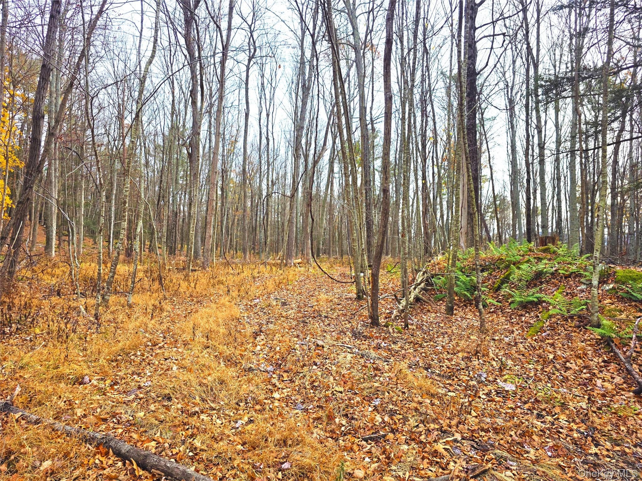 0 County Route 41 thumbnail 4