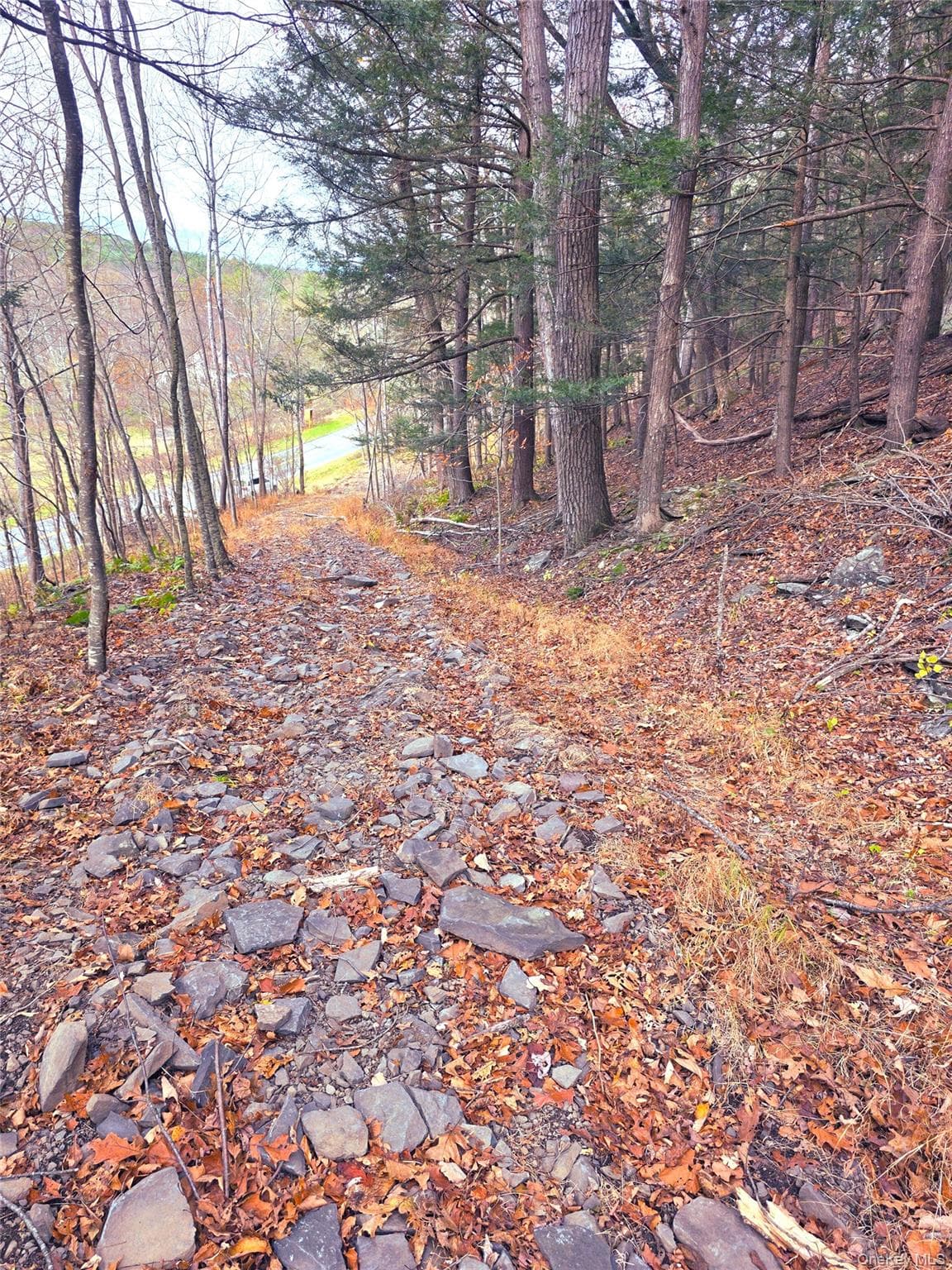 0 County Route 41 thumbnail 6