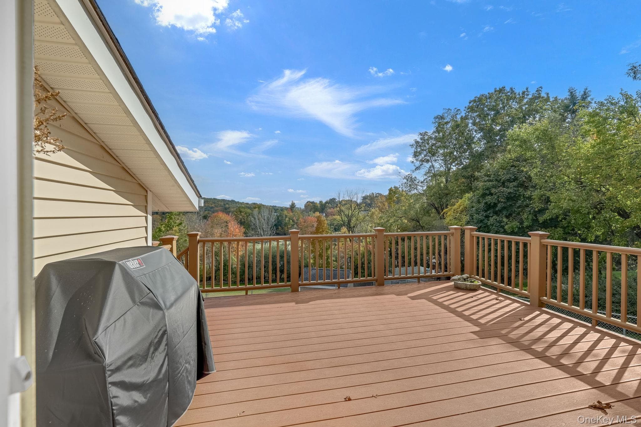 738 Ridgebury Road thumbnail 20
