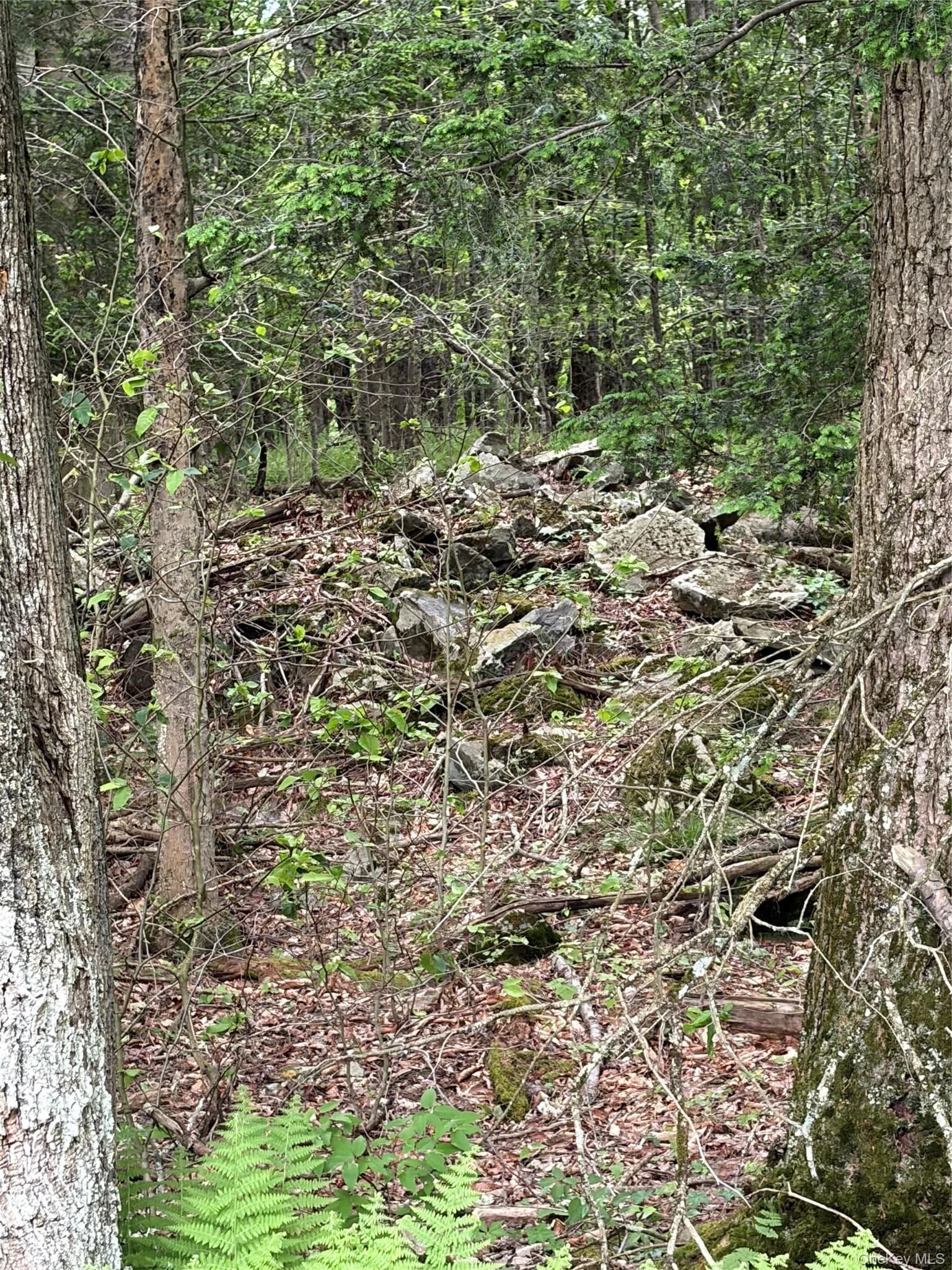 651 Creamery Road thumbnail 8