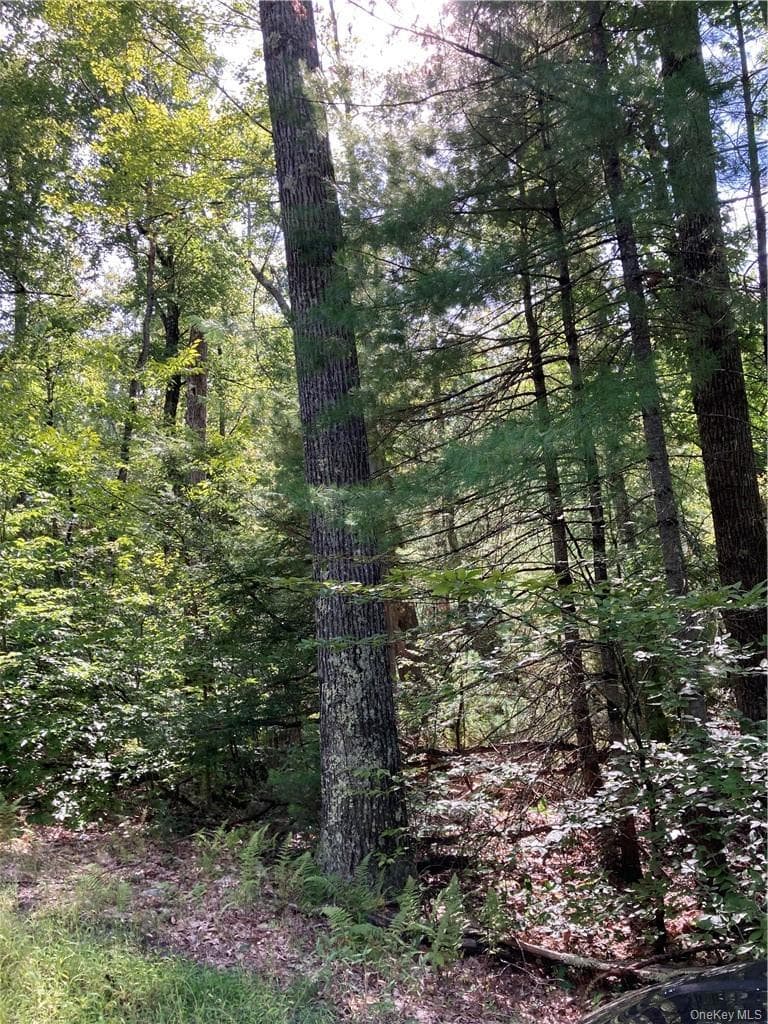 Plank Road Forestburg New York thumbnail 5