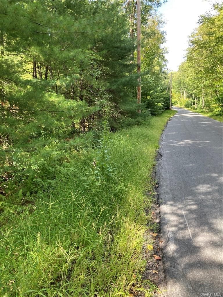 Plank Road Forestburg New York thumbnail 7