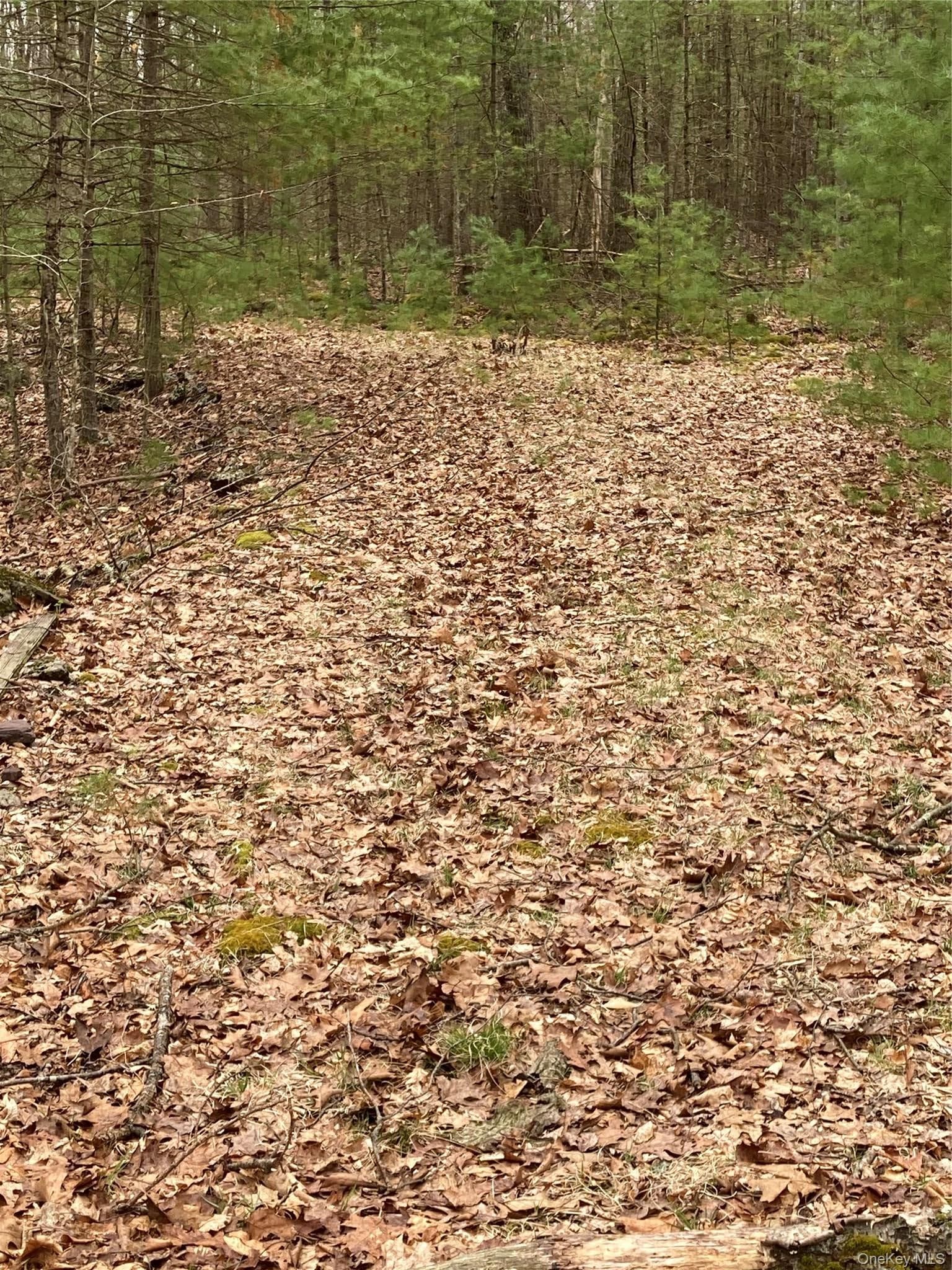 Plank Road Forestburg New York thumbnail 11