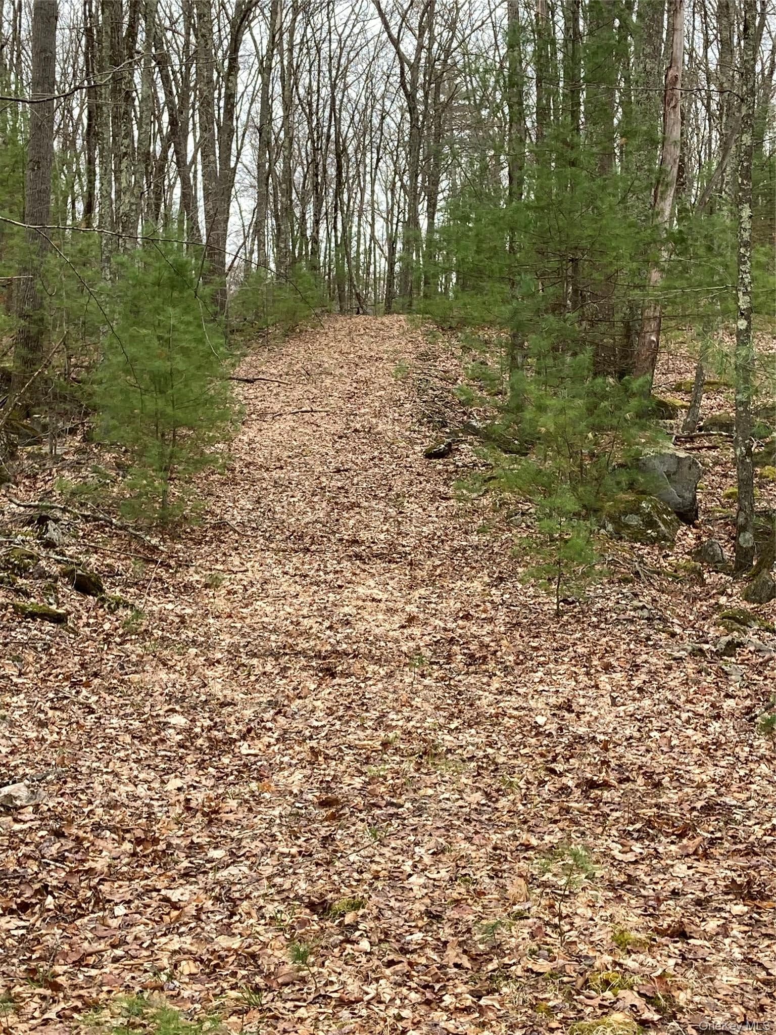 Plank Road Forestburg New York thumbnail 10