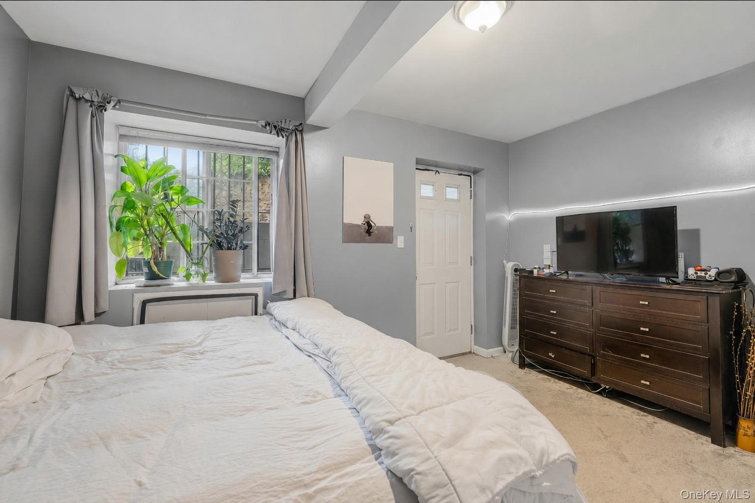 717 E 215th Street thumbnail 28