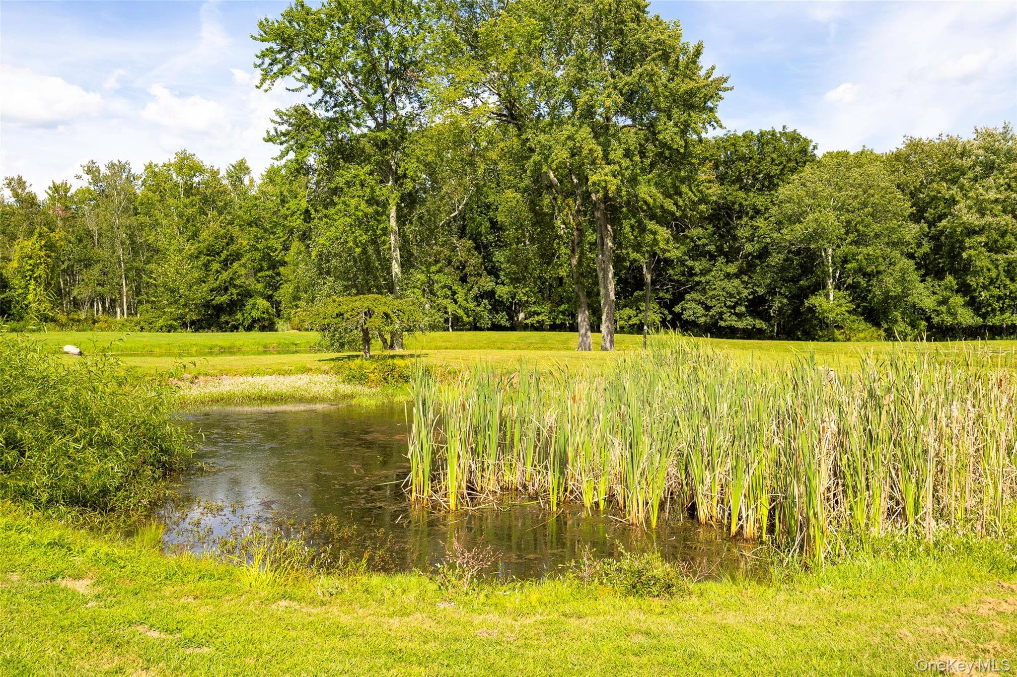 89 Deer Pond Road thumbnail 38