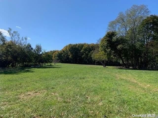 385 New Suffolk Avenue photo 1