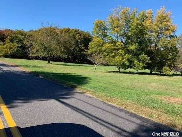 385 New Suffolk Avenue thumbnail 11