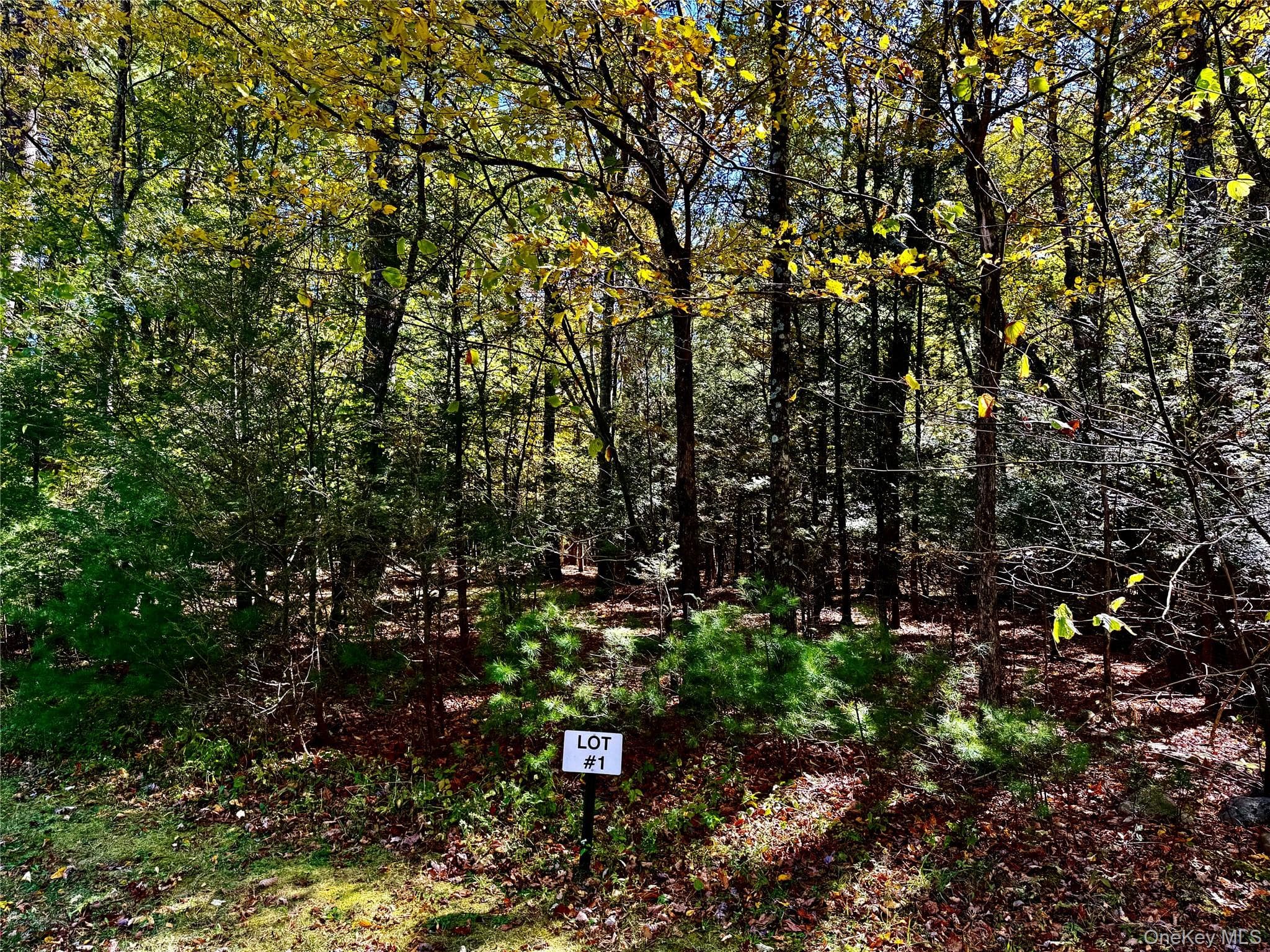 44-86 Falling Waters Drive thumbnail 8