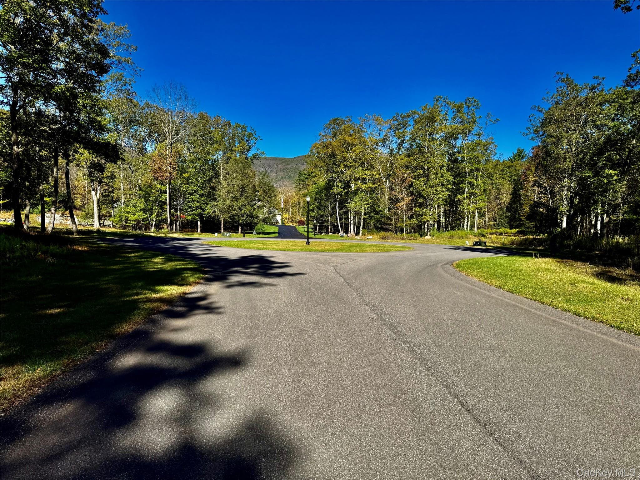 44-86 Falling Waters Drive thumbnail 6