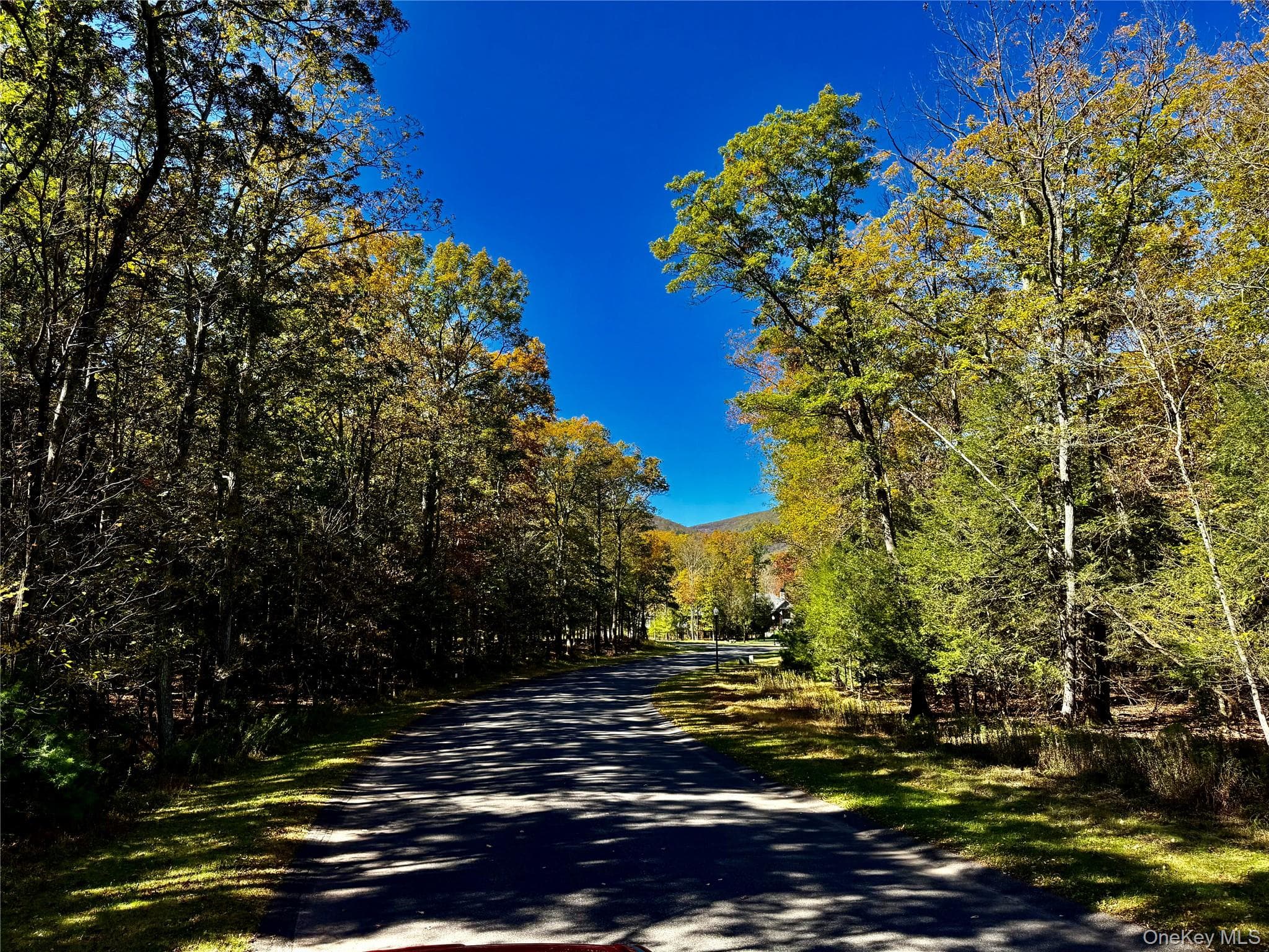 44-86 Falling Waters Drive thumbnail 5