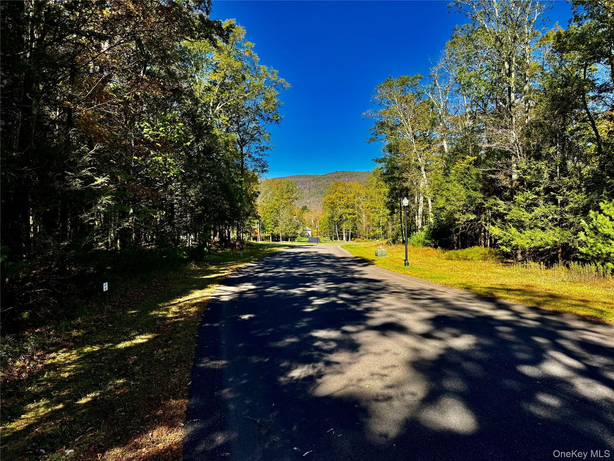 44-86 Falling Waters Drive thumbnail 4