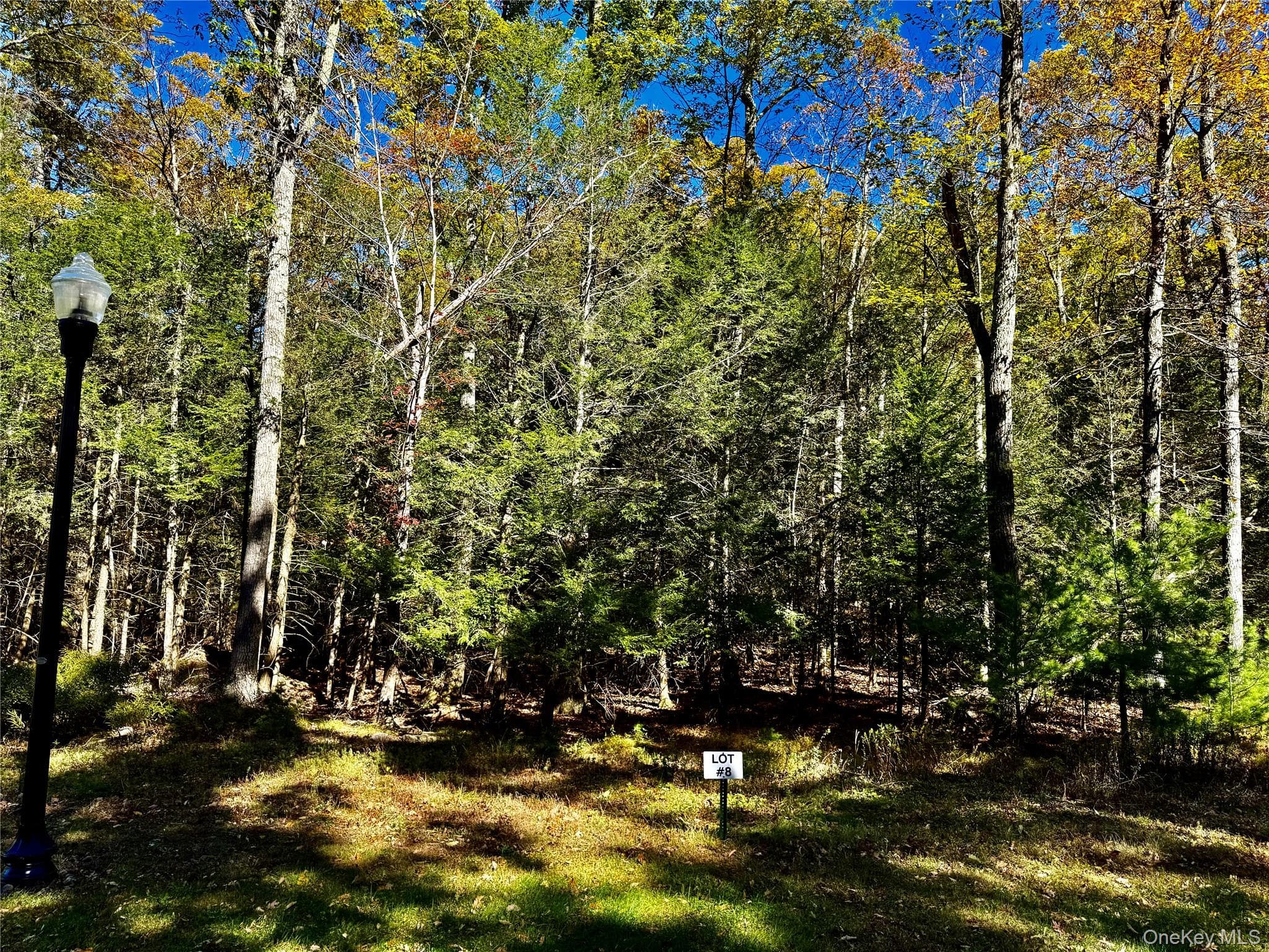 44-86 Falling Waters Drive thumbnail 11