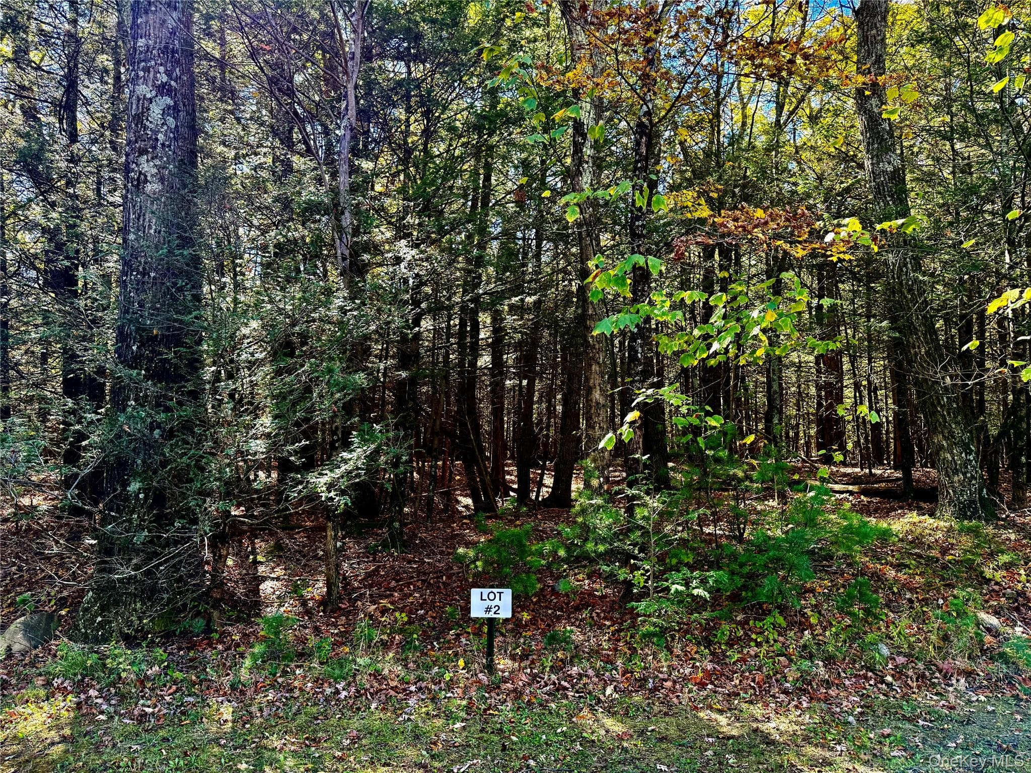 44-86 Falling Waters Drive thumbnail 9
