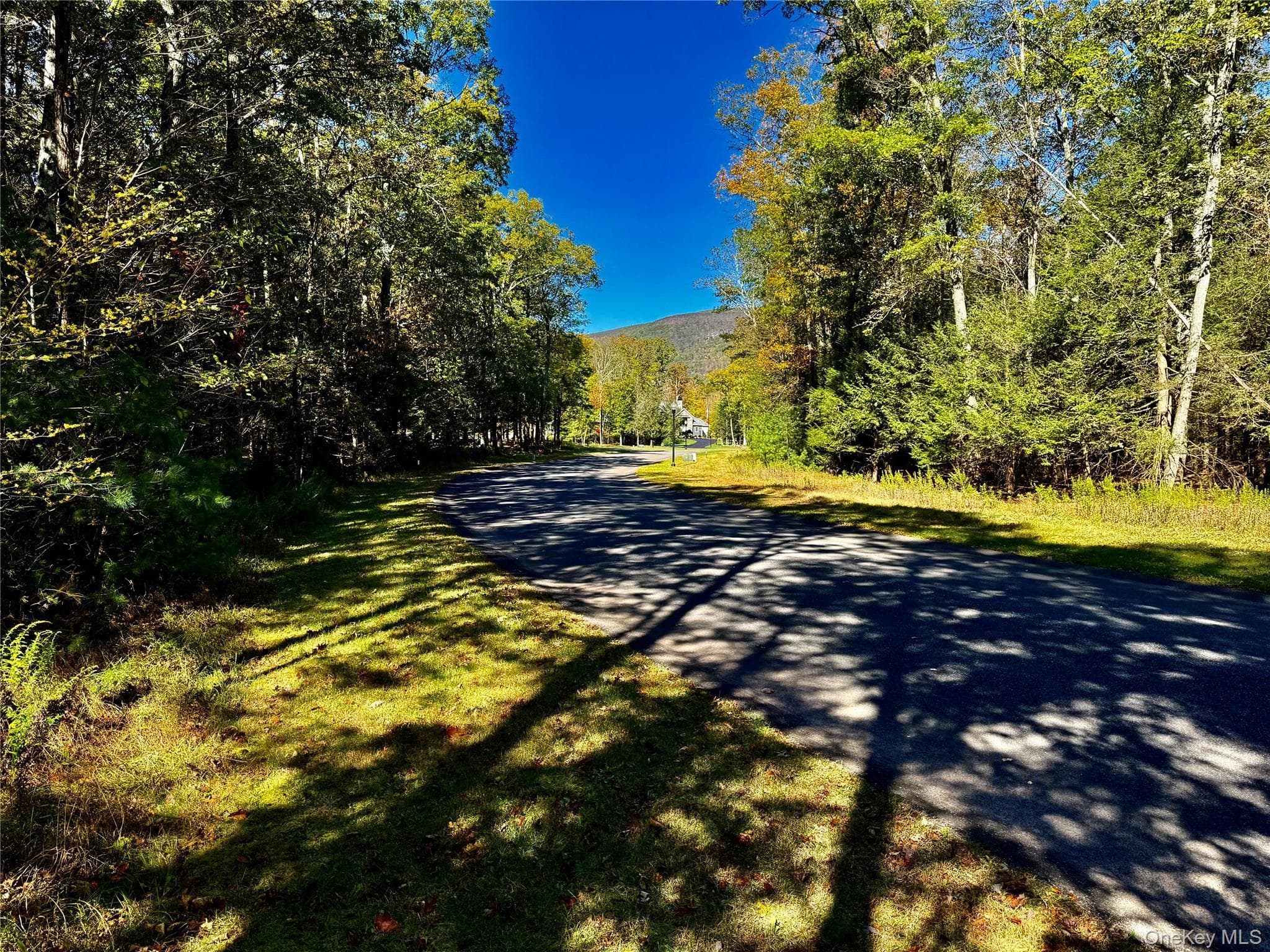 44-86 Falling Waters Drive thumbnail 3