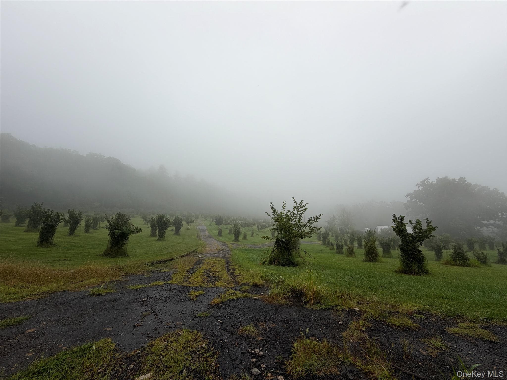 151 Prospect Hill Road thumbnail 49