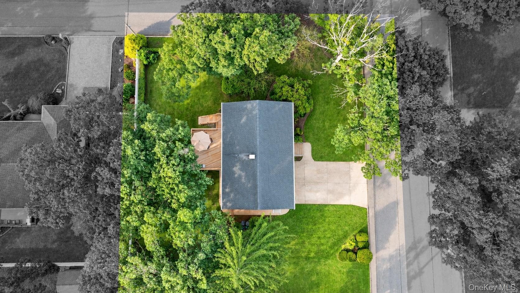 36 Deer Park Boulevard thumbnail 6