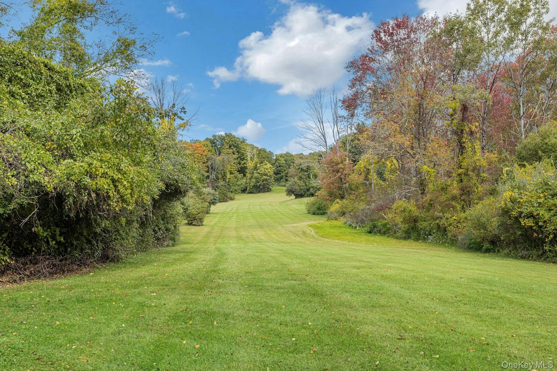 75 Cushman Road thumbnail 38