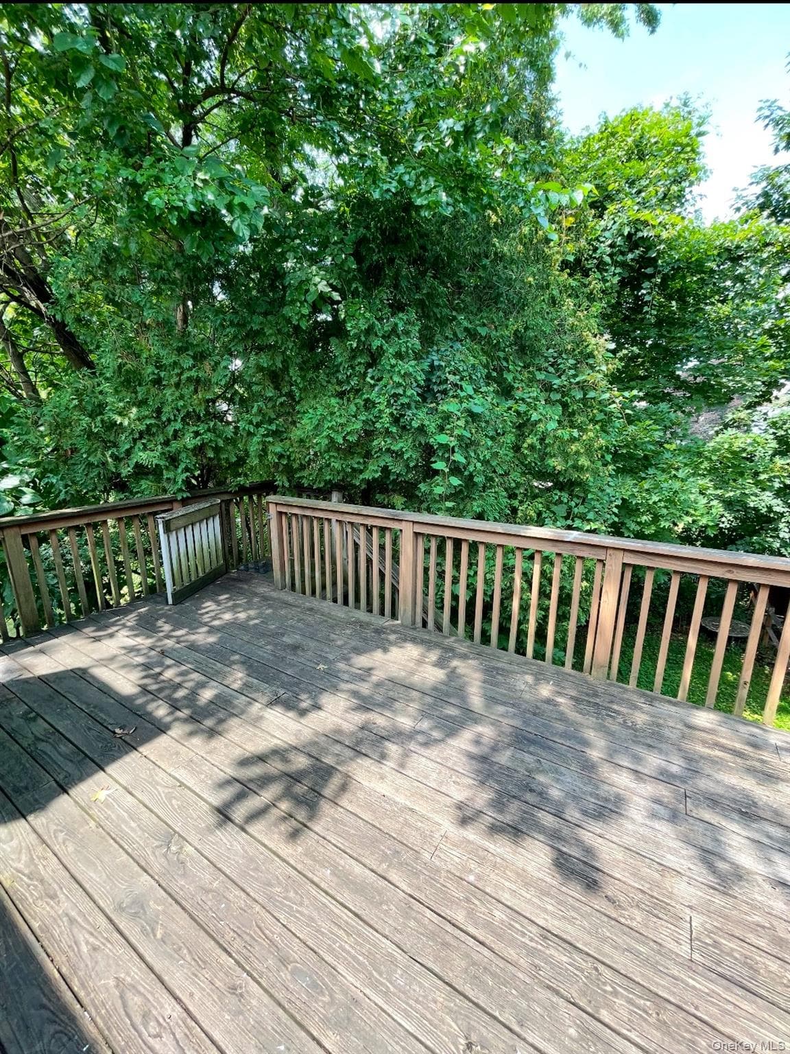 2410 Boston Post Road thumbnail 13