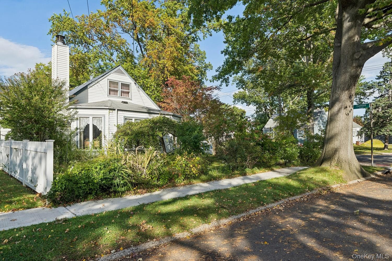 64 Collfield Avenue thumbnail 7