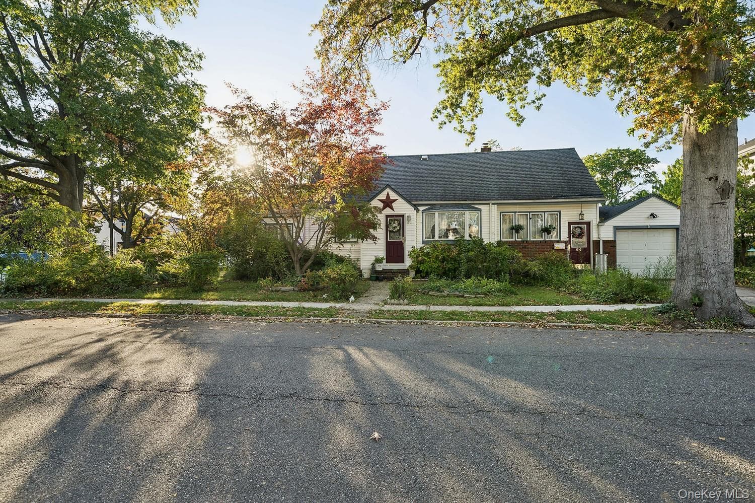 64 Collfield Avenue thumbnail 5