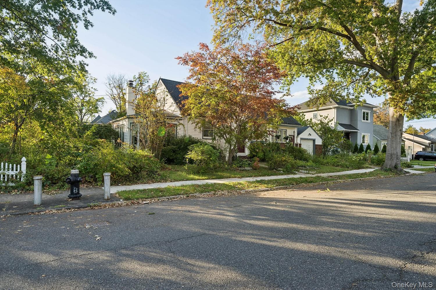 64 Collfield Avenue thumbnail 4