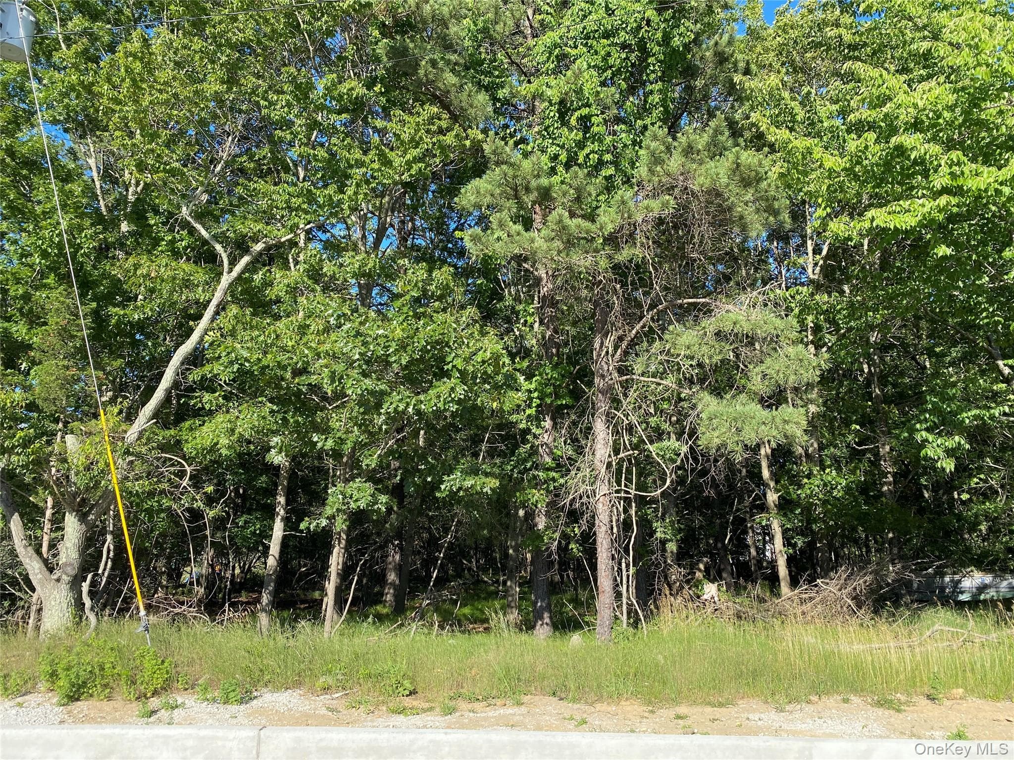 Pleasant Avenue, Medford